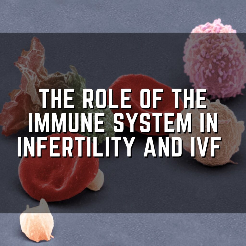 The role of the immune system in infertility and IVF