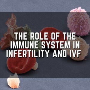 The role of the immune system in infertility and IVF