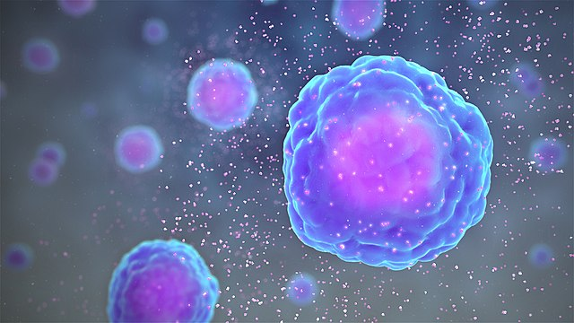 An immune cell secreting cytokines (tiny purple dots)