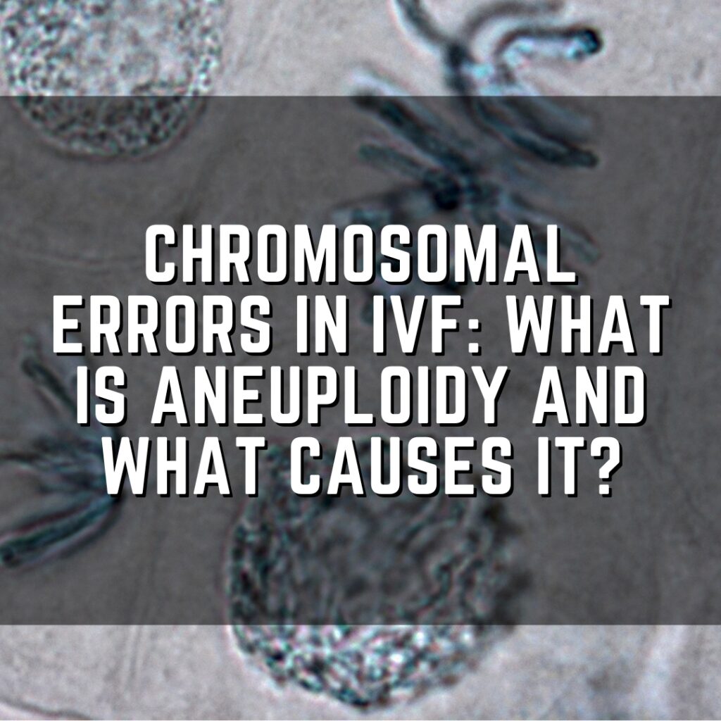Chromosomal errors in IVF: What is aneuploidy and what causes it?