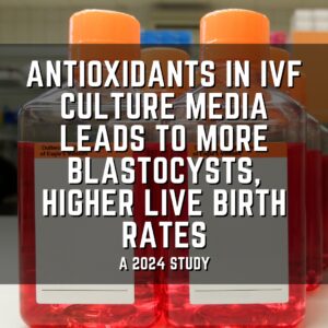 antioxidants in IVF culture media leads to more blastocysts, higher live birth rates