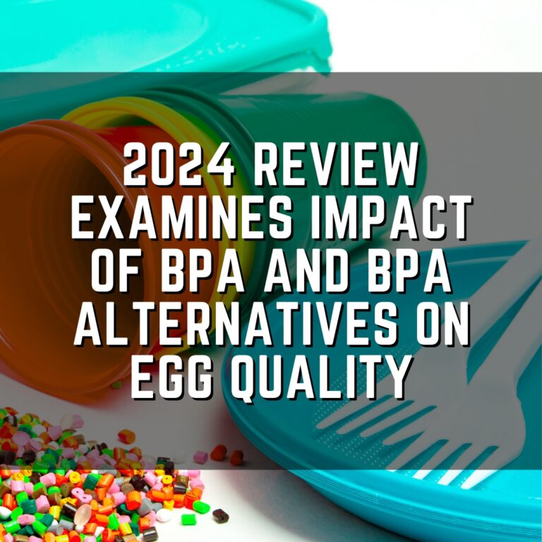 2024 review examines impact of BPA and BPA alternatives on egg quality