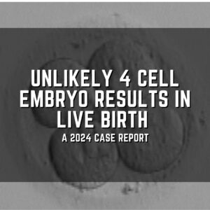 Unlikely 4 cell embryo results in live birth