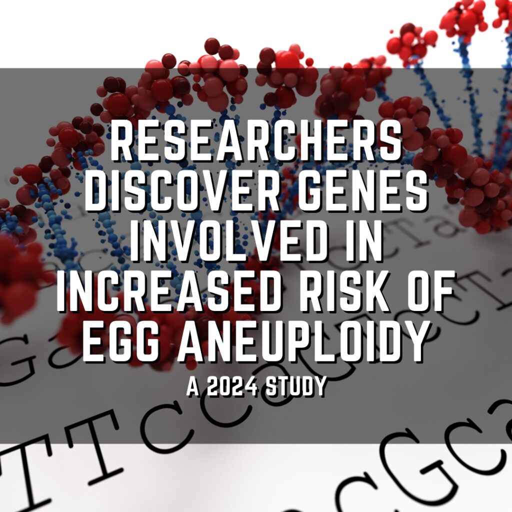 Researchers discover genes involved in increased risk of egg aneuploidy