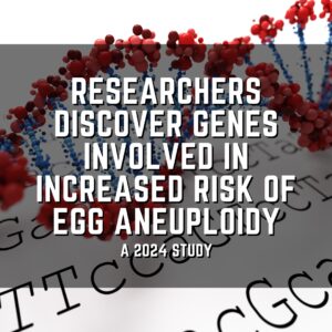 Researchers discover genes involved in increased risk of egg aneuploidy