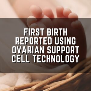 First birth reported using ovarian support cell technology
