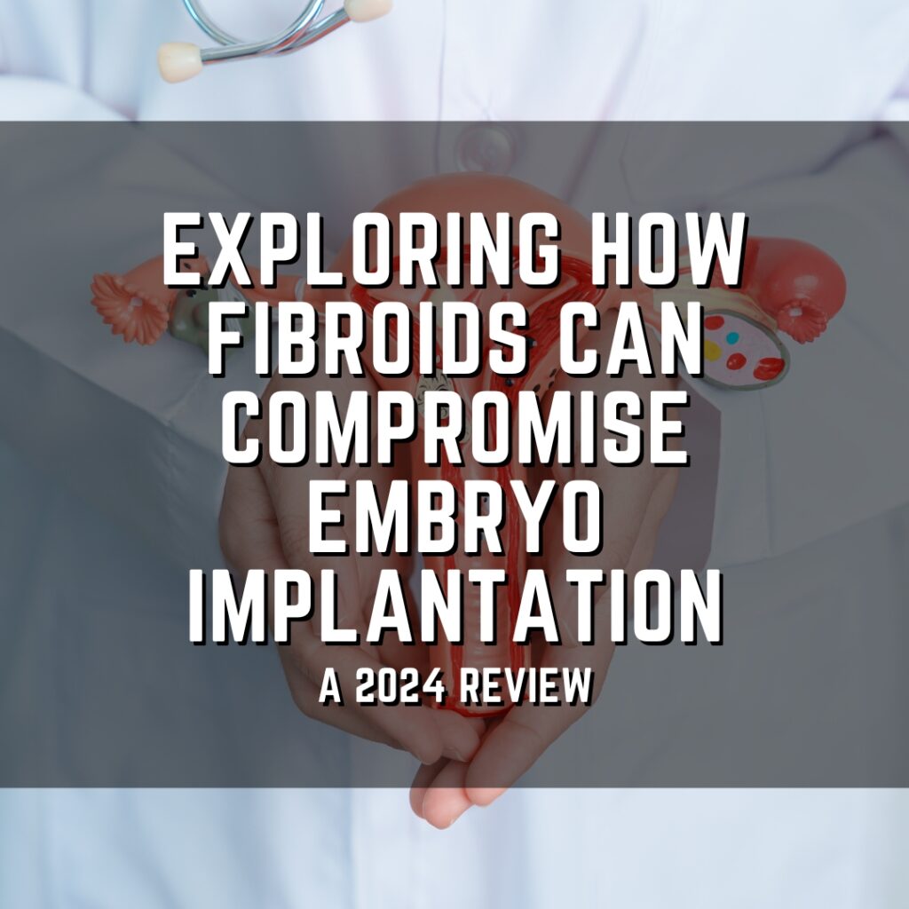 Exploring how fibroids can compromise embryo implantation