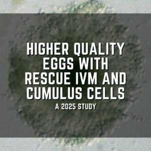 Higher quality eggs with rescue IVM and cumulus cells