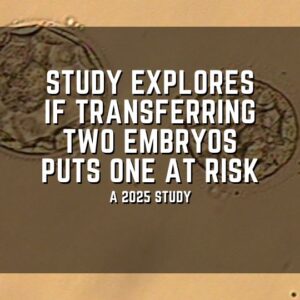 Study explores if transferring two embryos puts one at risk
