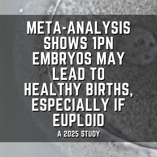 Meta-analysis shows 1PN embryos may lead to healthy births, especially if euploid