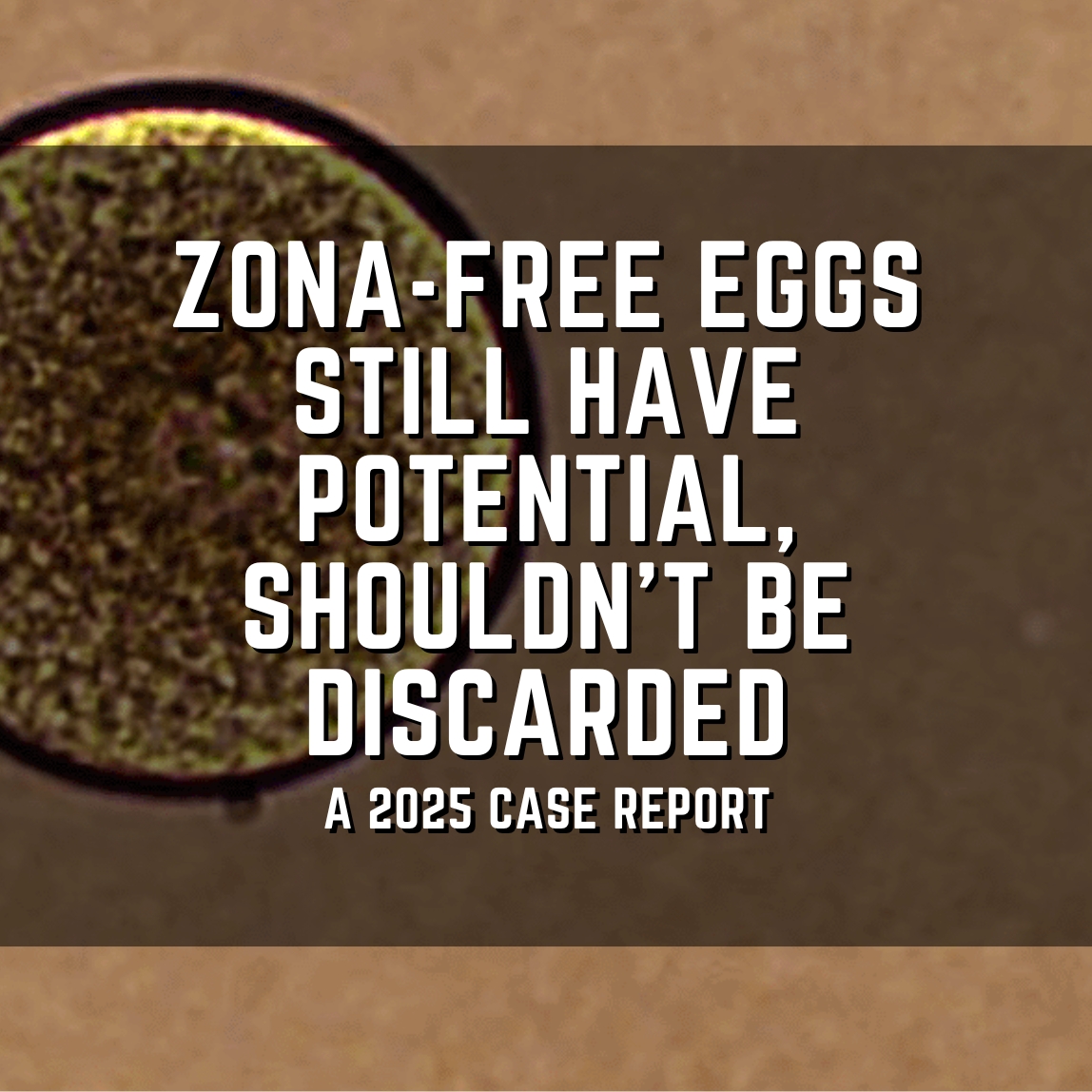 Zona-free eggs still have potential, shouldn't be discarded