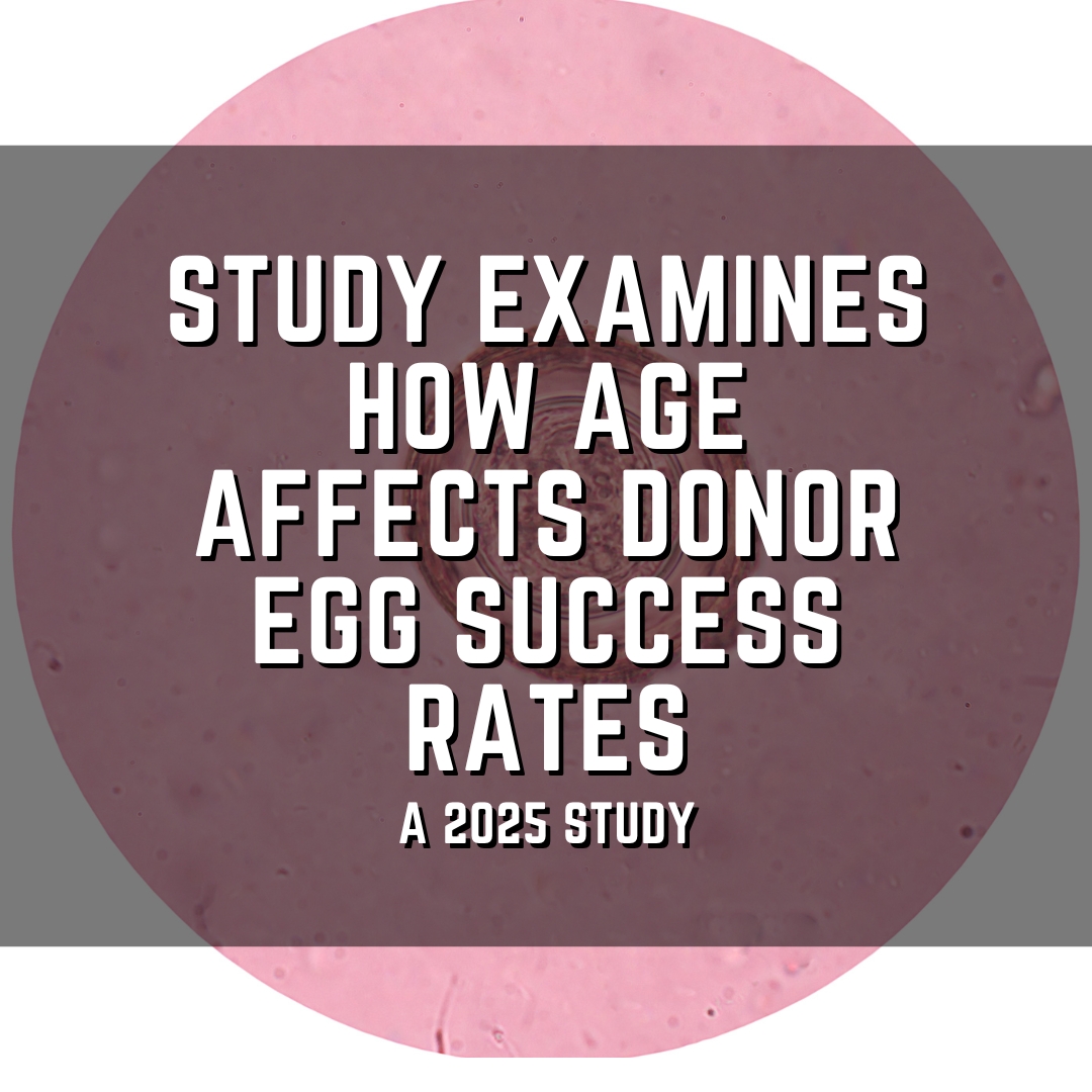 Study examines how age may affect donor egg success rates