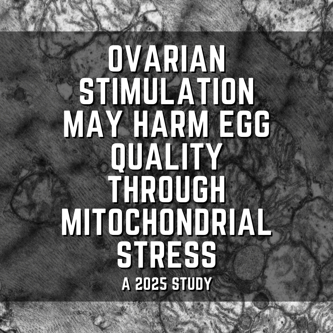 Ovarian stimulation may harm egg quality through mitochondrial stress