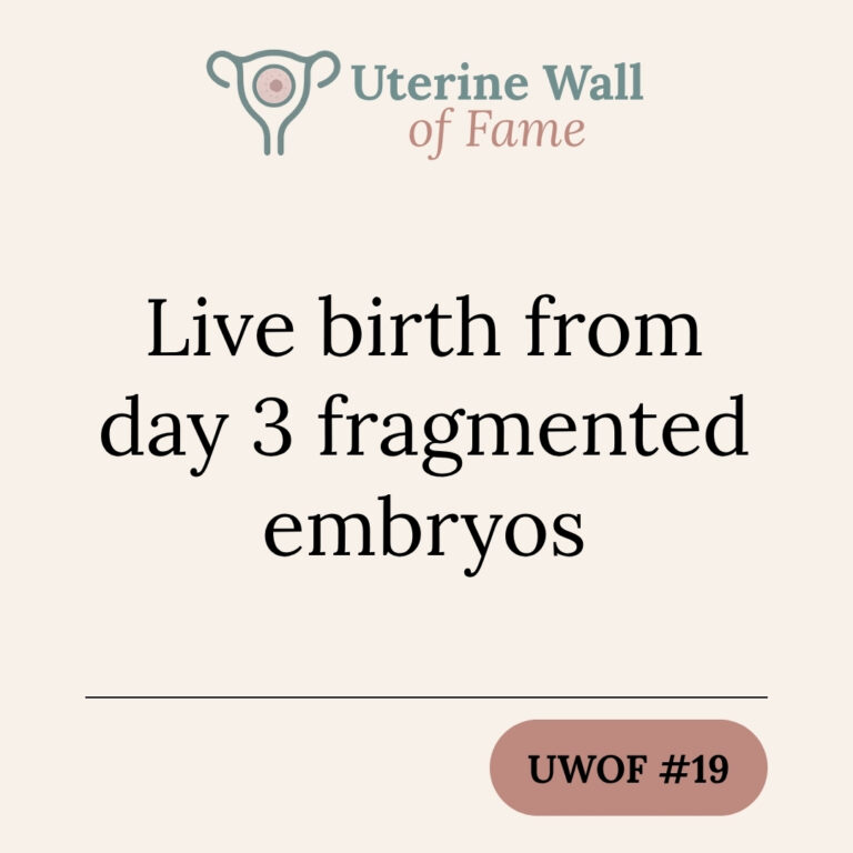 Live birth from day 3 fragmented embryos