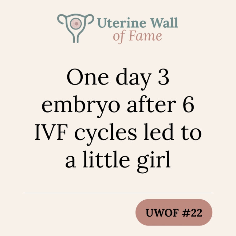 One day 3 embryo after 6 IVF cycles led to a little girl