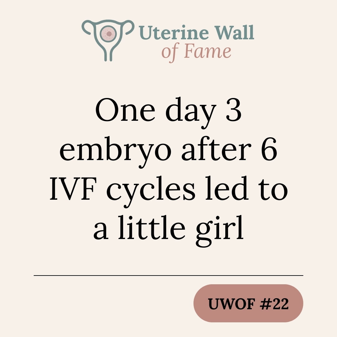One day 3 embryo after 6 IVF cycles led to a little girl