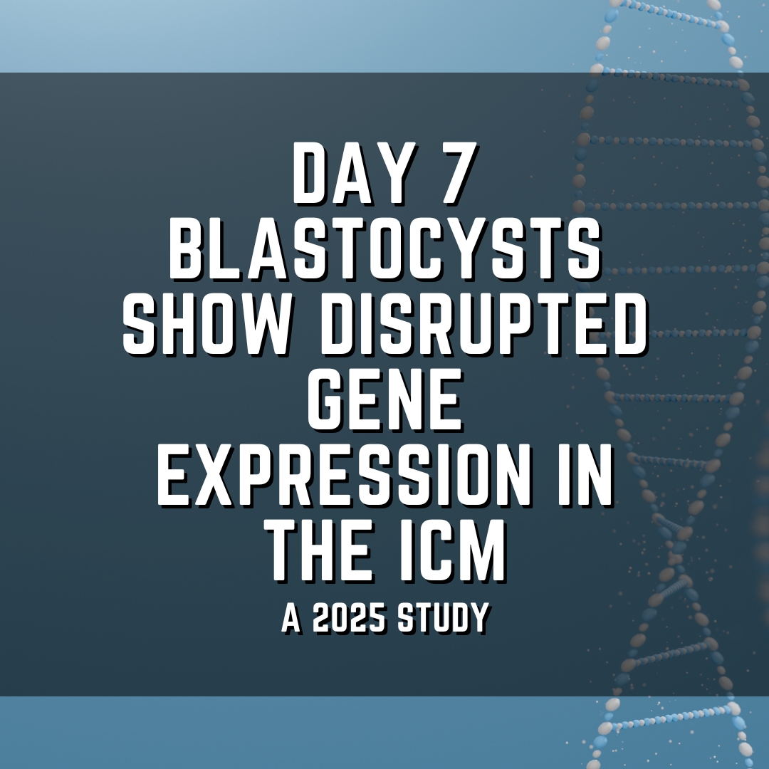 Day 7 blastocysts show disrupted gene expression in the ICM