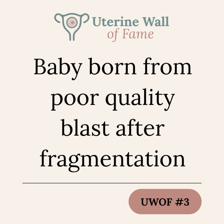 Baby born from poor quality blast after fragmentation