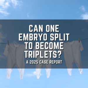 Can one embryo split to become triplets?