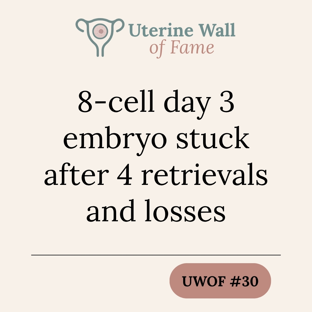 8-cell Day 3 embryo stuck after 4 retrievals and losses