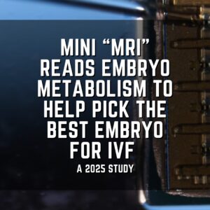 Mini “MRI” reads embryo metabolism to help pick the best embryo for IVF