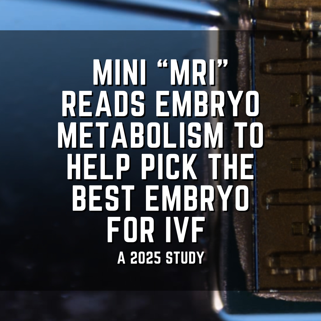 Mini “MRI” reads embryo metabolism to help pick the best embryo for IVF