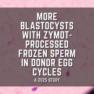 More blastocysts with Zymot-processed frozen sperm in donor egg cycles
