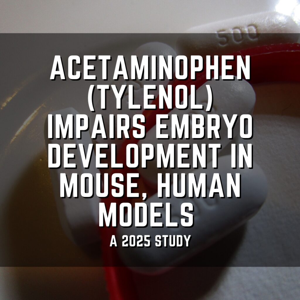 Acetaminophen (tylenol) impairs early embryo development in mouse, human models