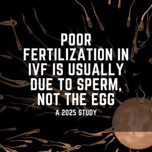 Poor fertilization in IVF is usually due to sperm, not the egg