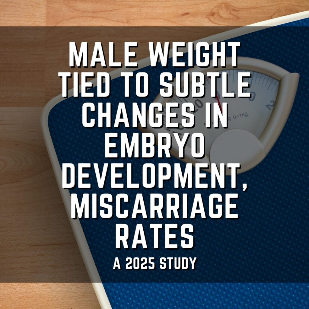 Male weight tied to subtle changes in embryo development, miscarriage rates