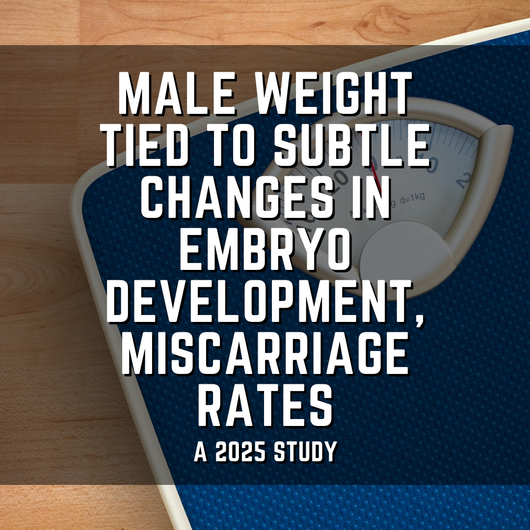 Male weight tied to subtle changes in embryo development, miscarriage rates