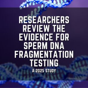 Researchers review the evidence for sperm DNA fragmentation testing