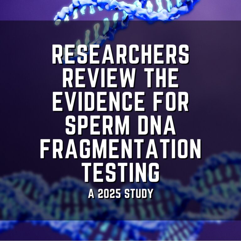 Researchers review the evidence for sperm DNA fragmentation testing