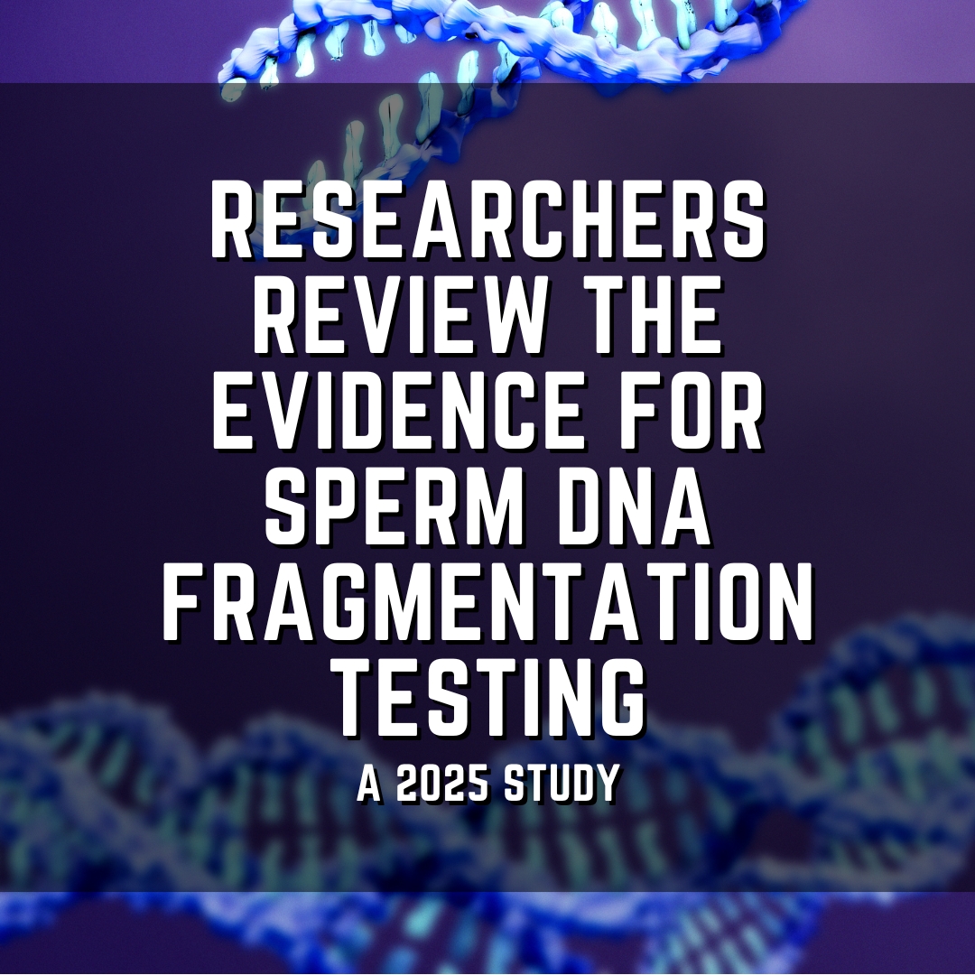 Researchers review the evidence for sperm DNA fragmentation testing