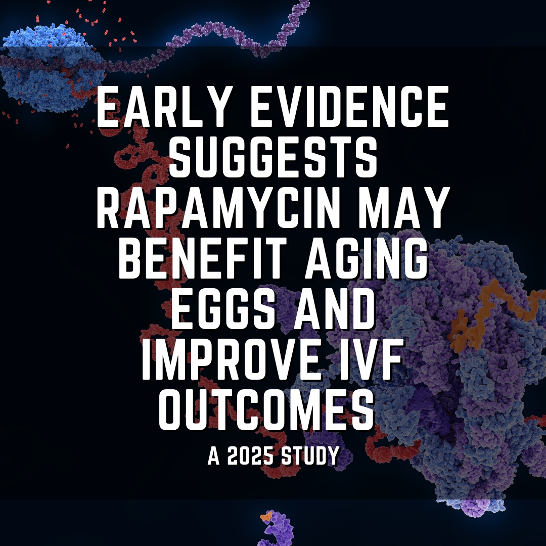 Early evidence suggests rapamycin may benefit aging eggs and improve IVF outcomes