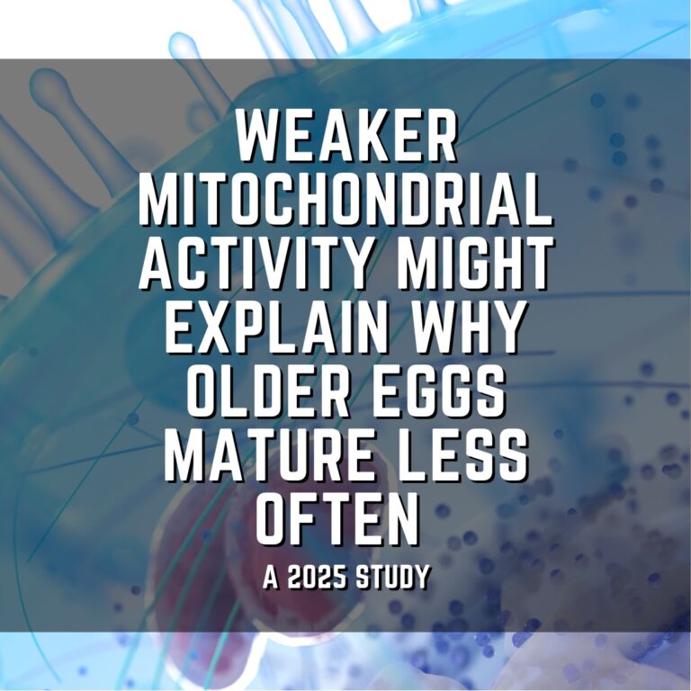 Weaker mitochondrial activity might explain why older eggs mature less often