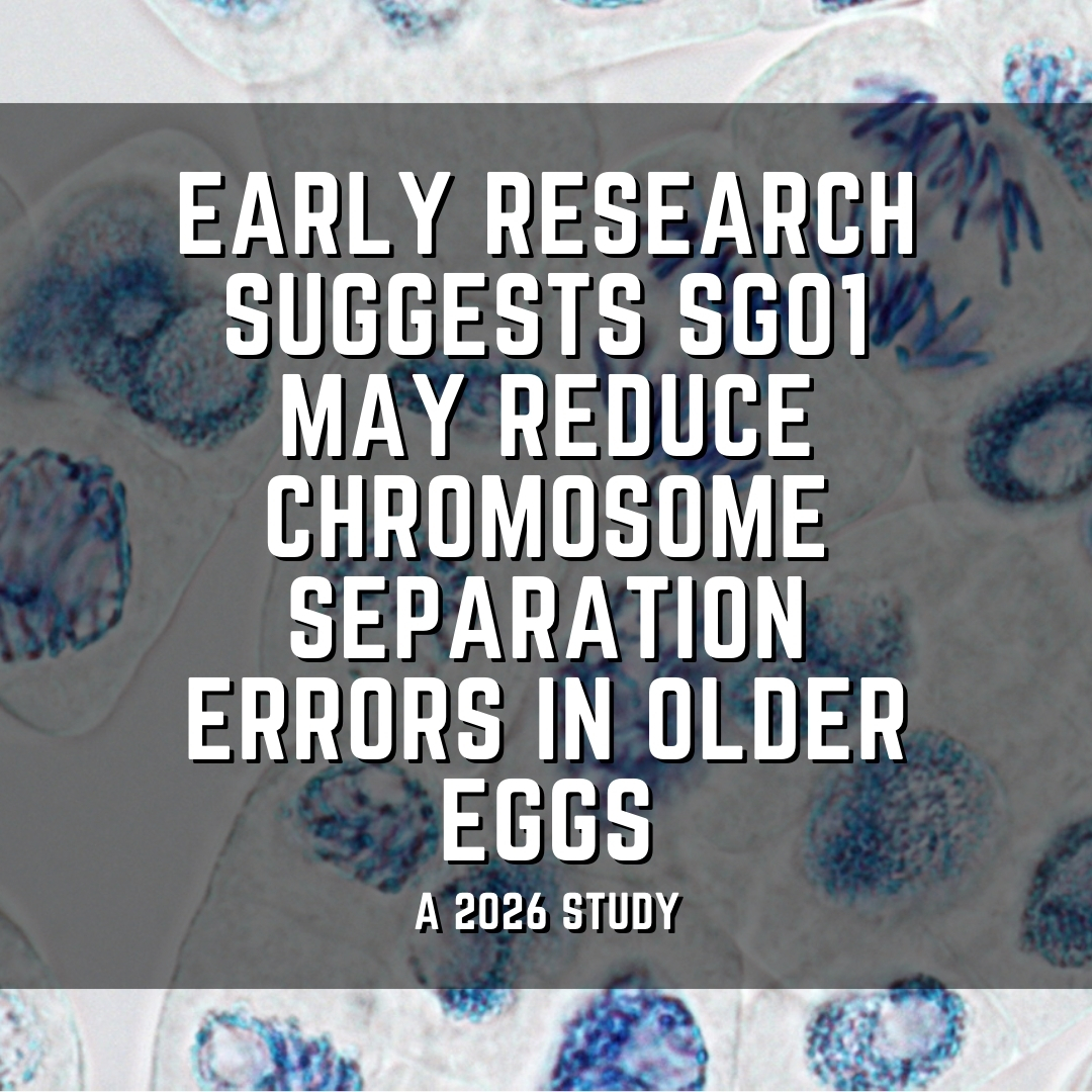 Early research suggests SGO1 may reduce chromosome separation errors in older eggs
