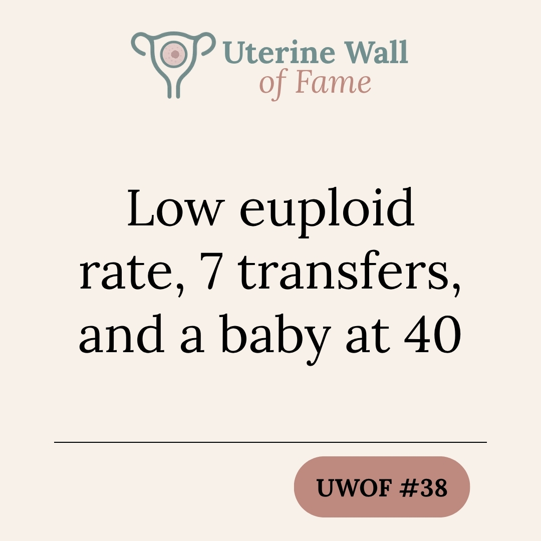 Low euploid rate, 7 transfers, and a baby at 40