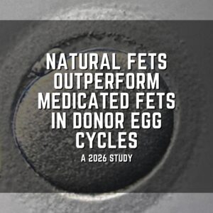 Natural FETs outperform medicated FETs in donor egg cycles