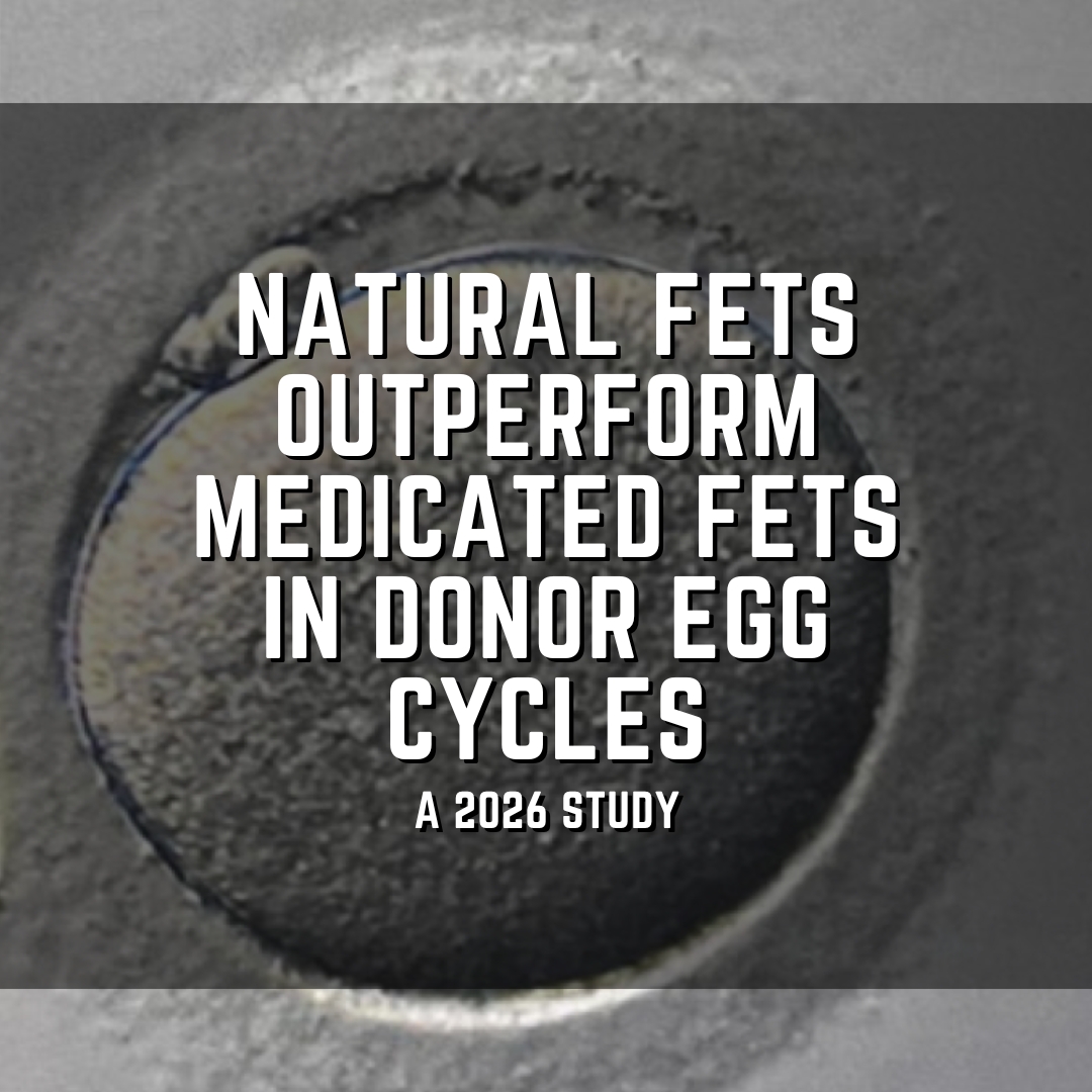 Natural FETs outperform medicated FETs in donor egg cycles