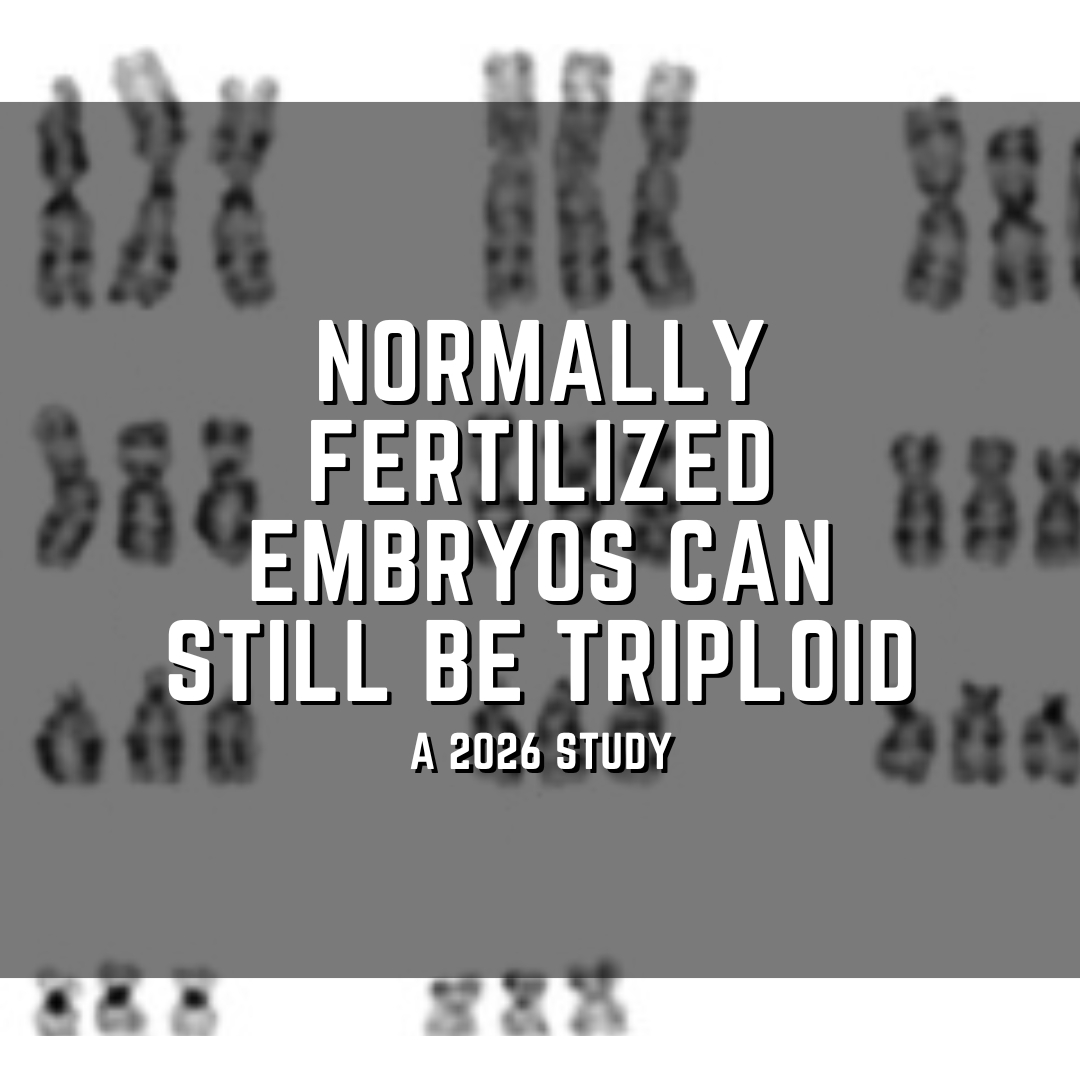 Normally fertilized embryos can still be triploid