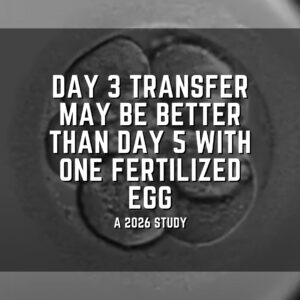 Day 3 transfer may be better than day 5 with one fertilized egg